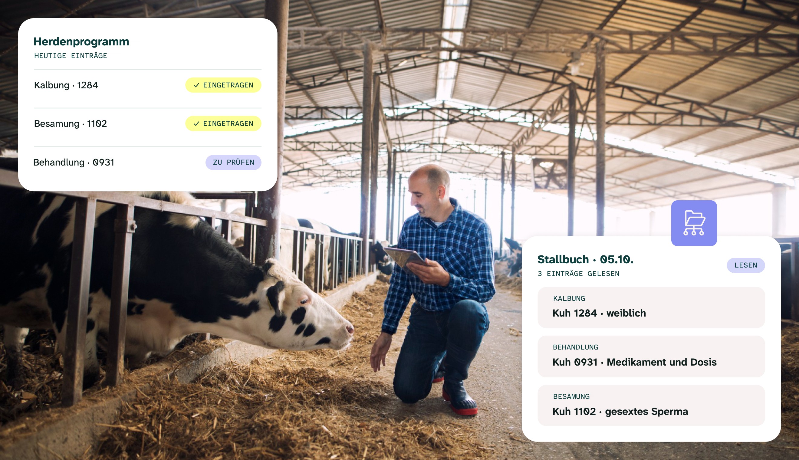 Landwirt im Stall mit Tablet neben den Milchkühen: die Daten aus dem Stalltagebuch landen im Programm